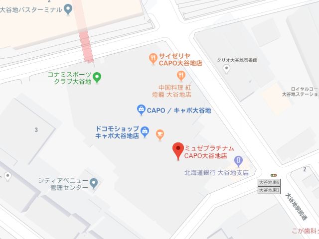 ミュゼプラチナムCAPO大谷地店地図
